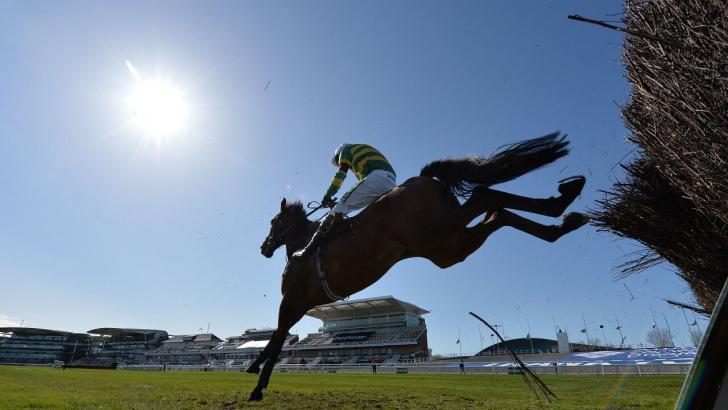 Fakir d'Oudairies pictured winning the 2021 Marsh Chase